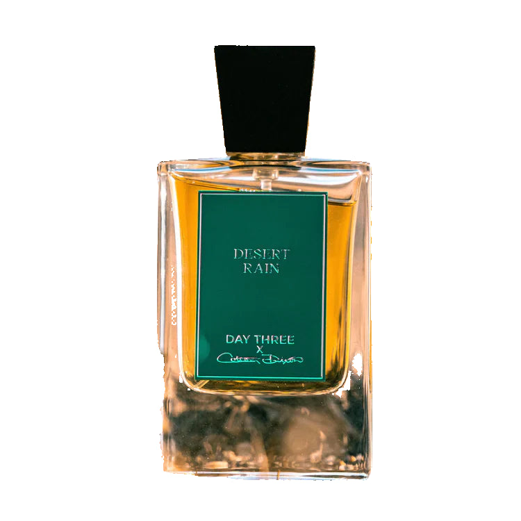 Day Three Desert Rain